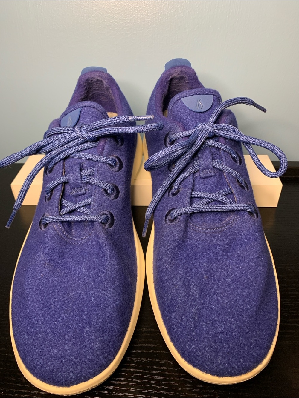 allbirds Men's Bright Blue Wool Sneakers